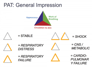 Figure 1. Pediatric Assessment Triangle