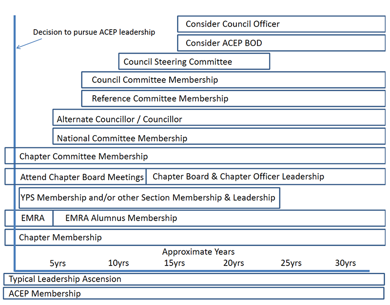 Figure 1. Timeline for Leadership