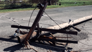 Figure 9: Broken telephone pole.